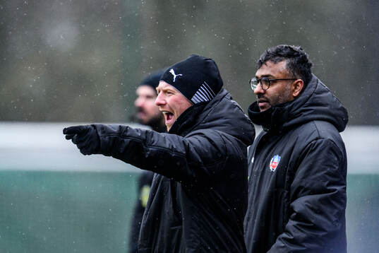 Helsingborgs manager Stevie Grieve