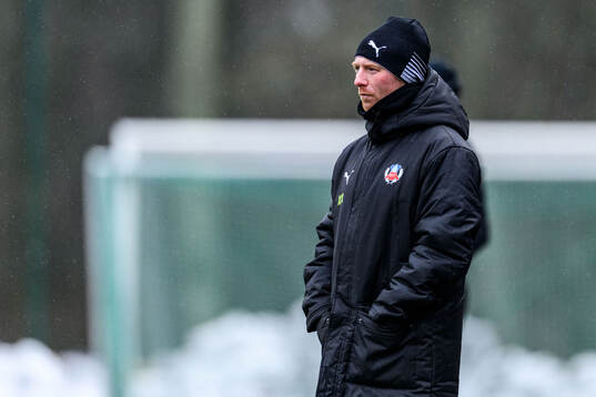 Helsingborgs manager Stevie Grieve
