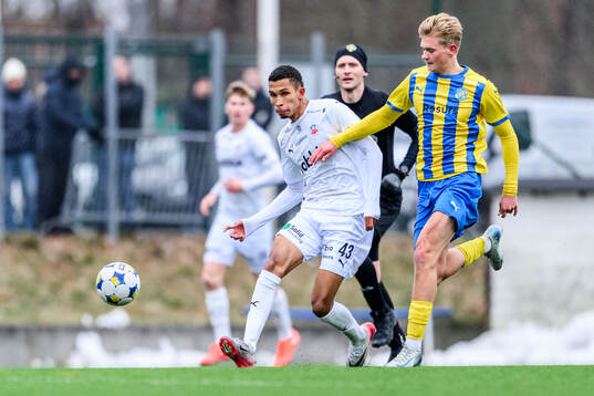 Helsingborgs Harol Romana