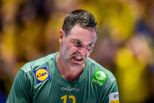 Goalkeeper Andreas Palicka of Sweden