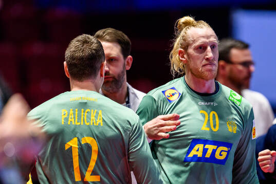 Goalkeeper Mikael Appelgren and goalkeeper Andreas Palicka