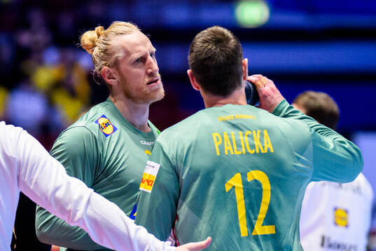 Goalkeeper Mikael Appelgren and goalkeeper Andreas Palicka