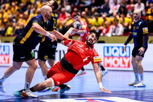 Oscar Bergendahl of Sweden and Miklos Rosta of Hungary