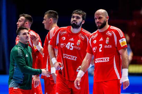 Miklos Rosta of Hungary looks dejected