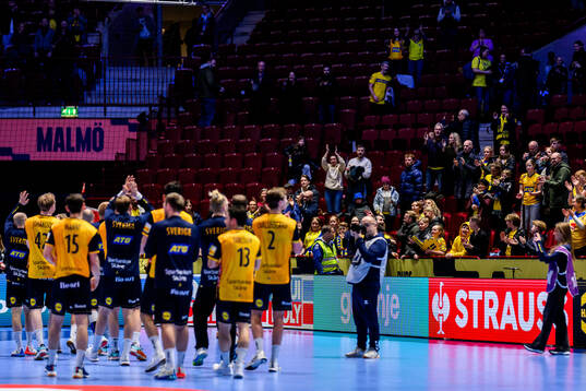 Players of Sweden