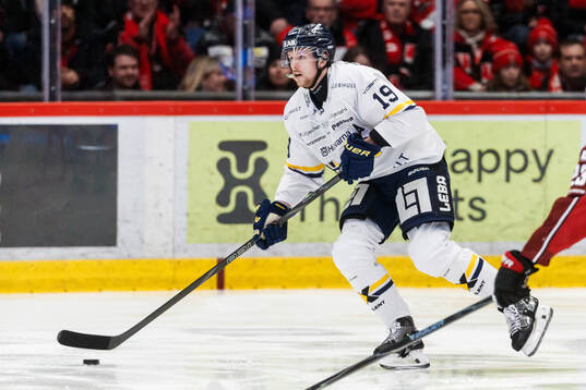 HV71s Niklas Hansson