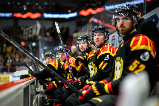 Brynäs Greg Scott