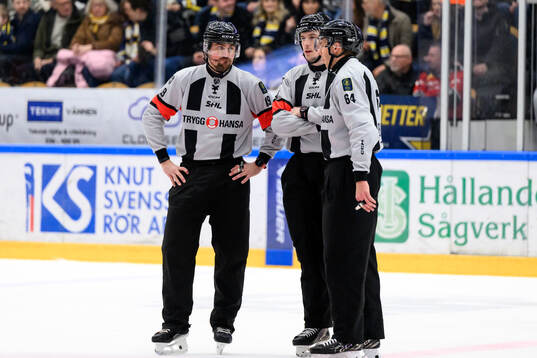 Domare Oscar Niklasson, Domare David Laksola  och