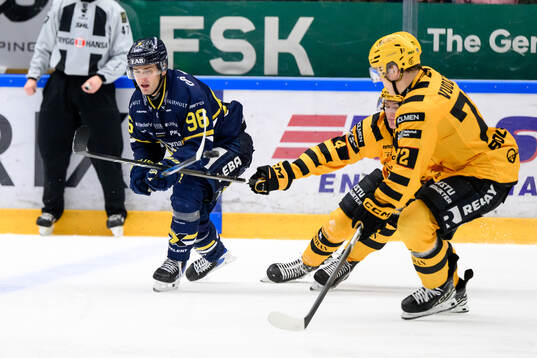 HV71s Nikola Pasic och Skellefteås Rasmus Bergqvist, Oskar