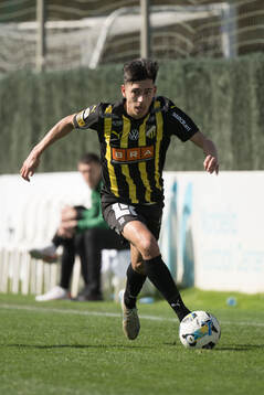 Häckens Danilo Al-Saed