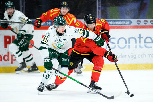 Bläddra bland fler bilder av Ishockey, SHL, Brynäs - Färjestad