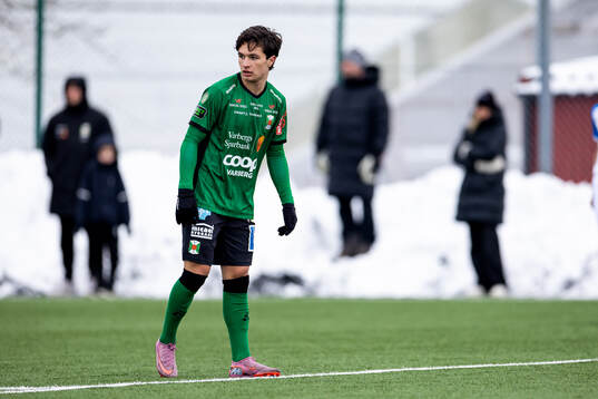 Varbergs Alfredo Steiner