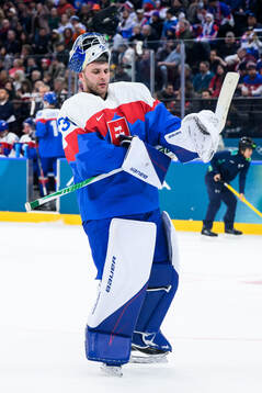 Samuel Hlavaj of Slovakia in the men's ice hockey game