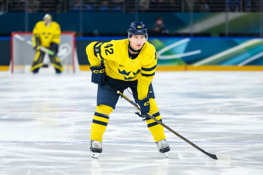 Gustav Forsling of Sweden in the men's ice hockey game