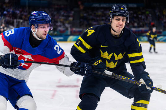 Martin Gernat of Slovakia and Joel Eriksson Ek of Sweden in