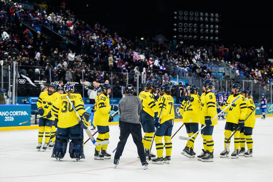 Players of Sweden