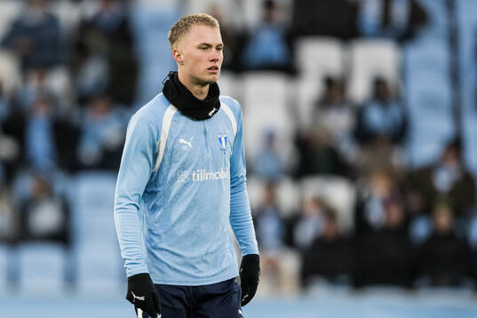Malmö FFs Daniel Gudjohnsen