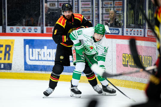 Brynäs Michal Kempny och Rögles Leon Bristedt