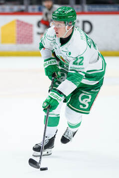 Rögles Fredrik Olofsson