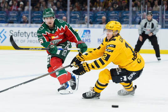 Frölundas Samuel Johannesson och Skellefteås Valter