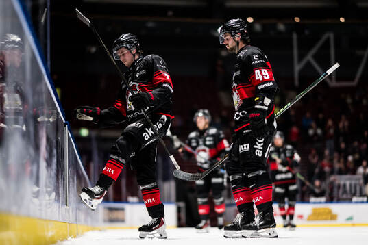 Malmö Redhawks Topi Niemelä och Seth Barton deppar