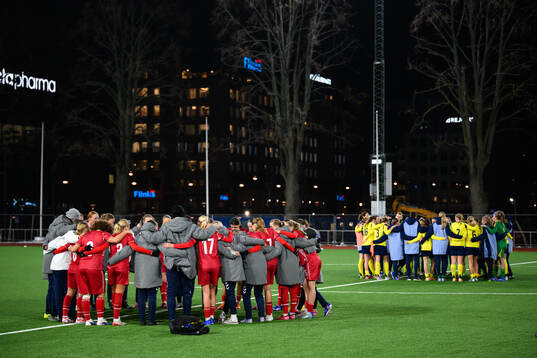 Danmarks spelare samlas