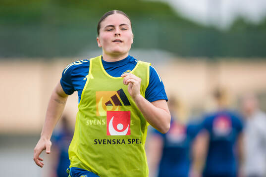 Hanna Wijk