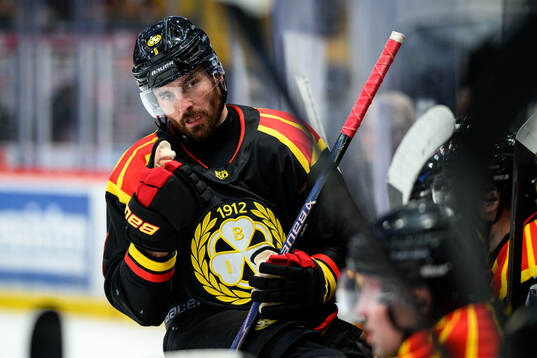 Brynäs Michal Kempny
