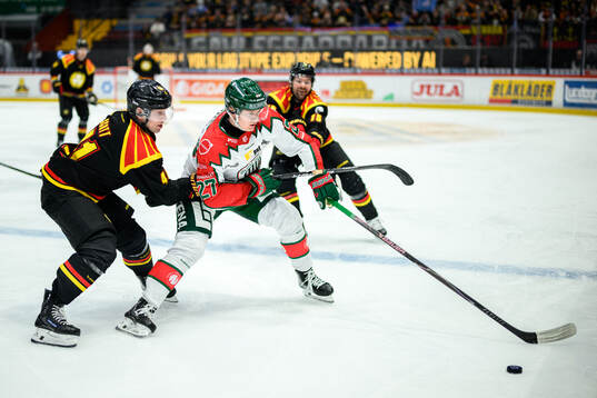 Brynäs Greg Scott och Frölundas Theodor Niederbach
