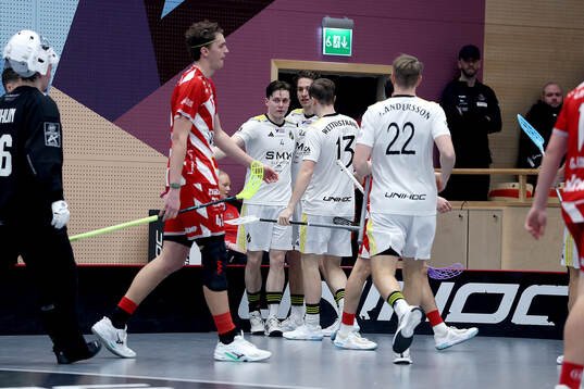 AIK's Jonas Rosén och lagkapten Andreas Stefansson jublar