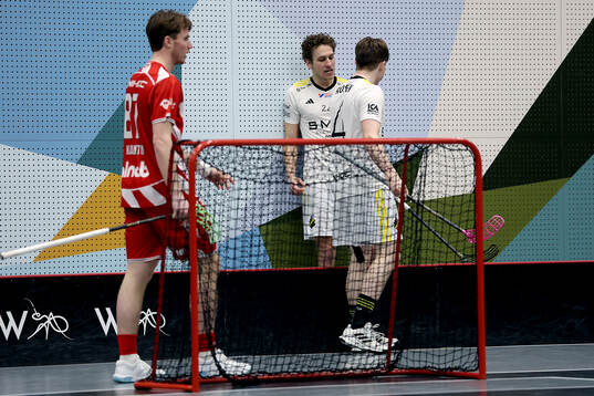 AIK's lagkapten Andreas Stefansson jublar
