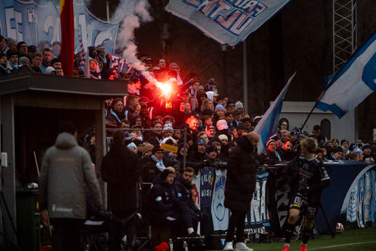 Malmö FFs supportar