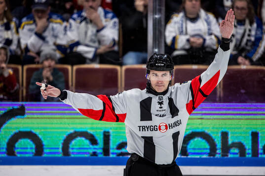 Domare Linus Öhlund