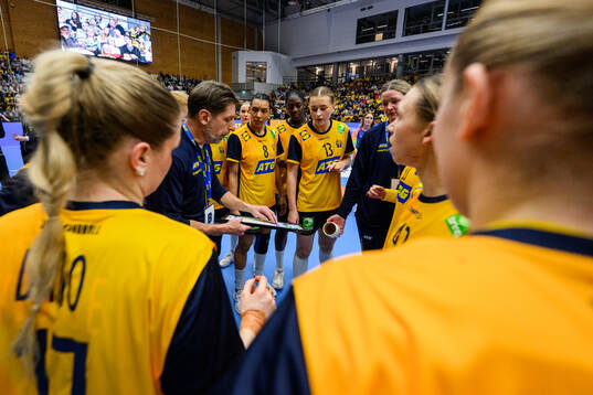 Players of Sweden at a time-out