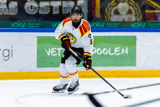 Brynäs Michal Kempny