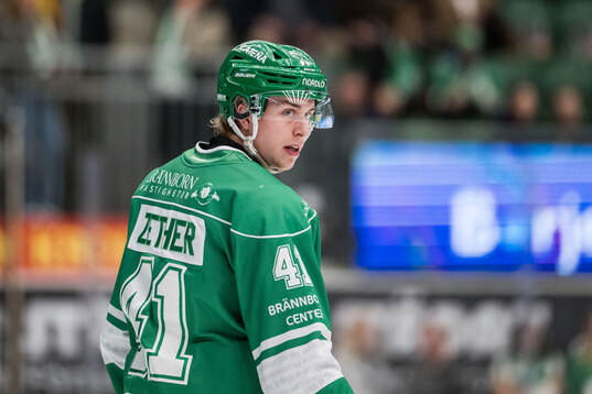 Rögles Simon Zether