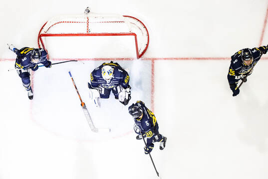 HV71s Hugo Fransson och HV71s målvakt Felix Sandström och
