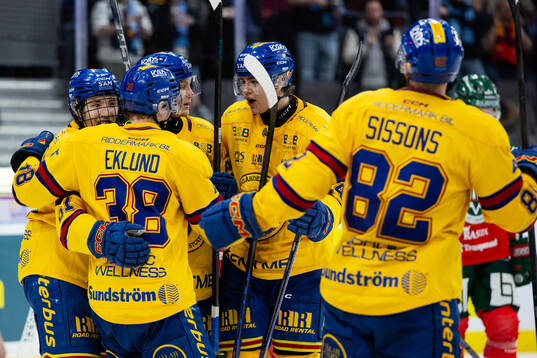 Djurgårdens David Blomgren jublar