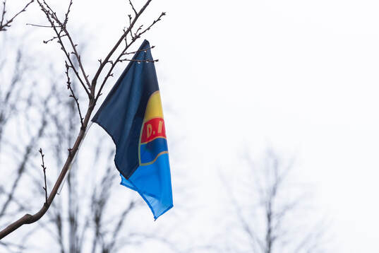 En djurgårdsflagga i ett träd