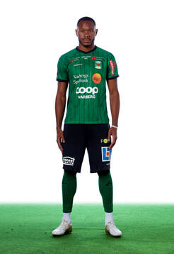 Varbergs Shanyder Borgelin