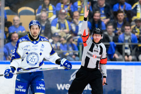 Domare Mikael Holm