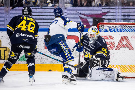 HV71s målvakt Felix Sandström