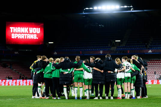 Players of Hammarby