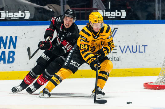 Malmö Redhawks William Von Barnekow och Skellefteås