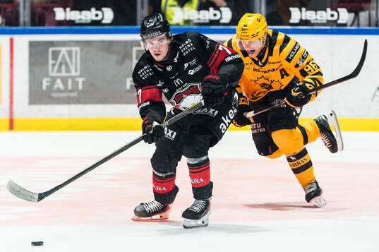 Malmö Redhawks Topi Niemelä och Skellefteås Rickard Hugg