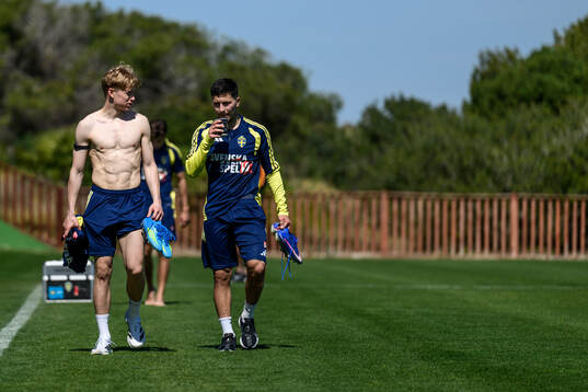 Daniel Svensson and Roony Bardghji of the Swedish national