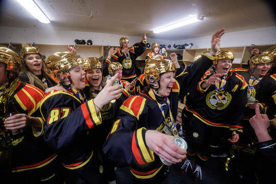 Brynäs spelare jublar