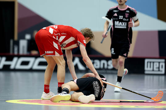 Pixbos Arvid Äse