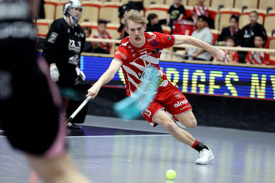 Pixbos Arvid Äse