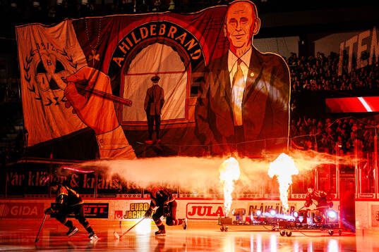 Brynäs spelare